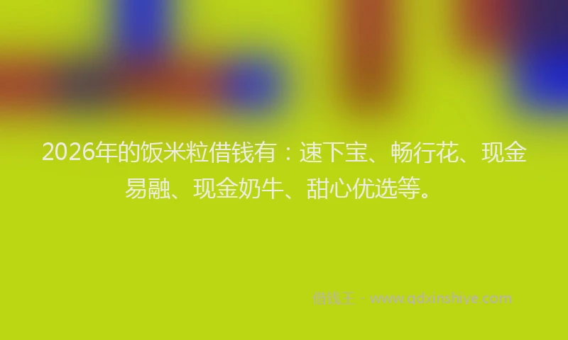 2026年的饭米粒借钱有:速下宝、畅行花、现金易融、现金奶牛、甜心优选等。