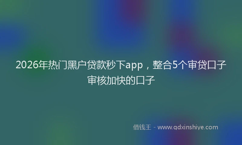 2026年热门黑户贷款秒下app,整合5个审贷口子审核加快的口子