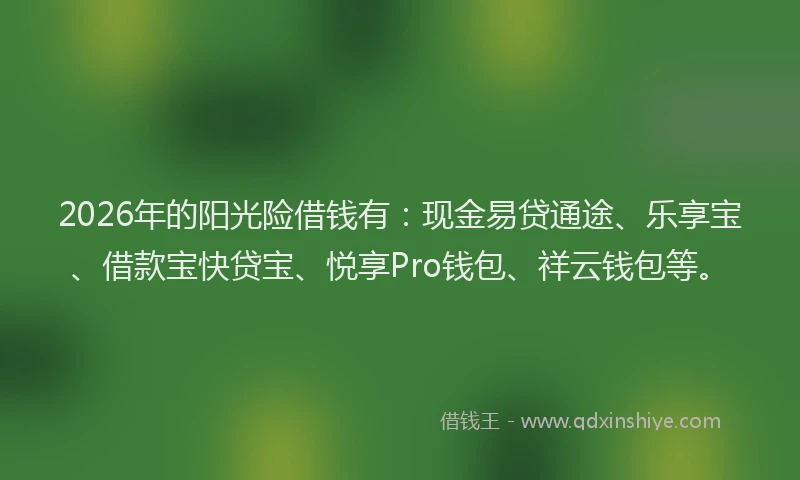 2026年的阳光险借钱有：现金易贷通途、乐享宝、借款宝快贷宝、悦享Pro钱包、祥云钱包等。
