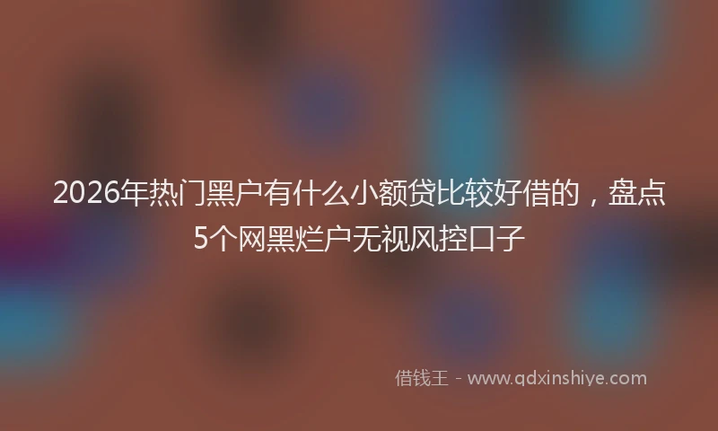 2026年热门黑户有什么小额贷比较好借的，盘点5个网黑烂户无视风控口子