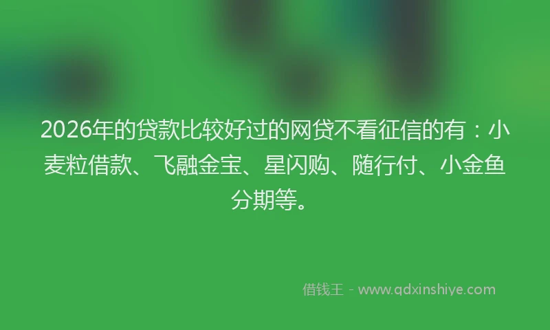 2026年的贷款比较好过的网贷不看征信的有：小麦粒借款、飞融金宝、星闪购、随行付、小金鱼分期等。