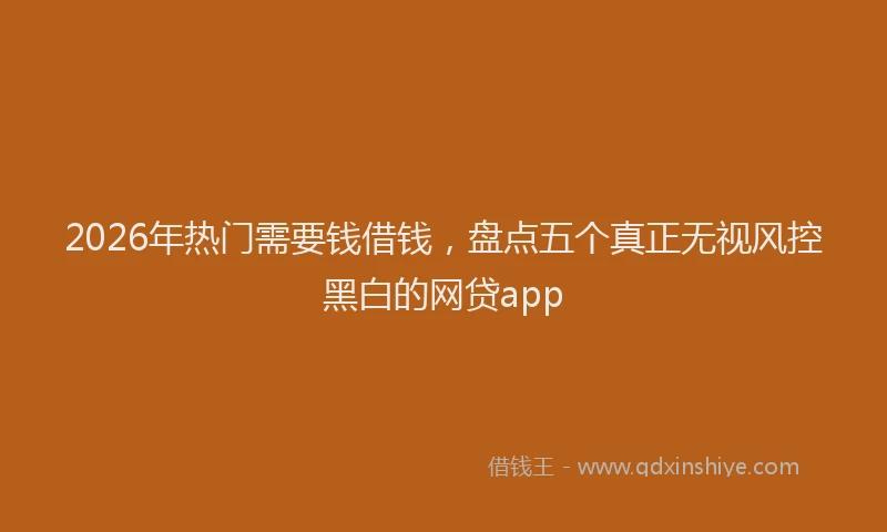 2026年热门需要钱借钱，盘点五个真正无视风控黑白的网贷app