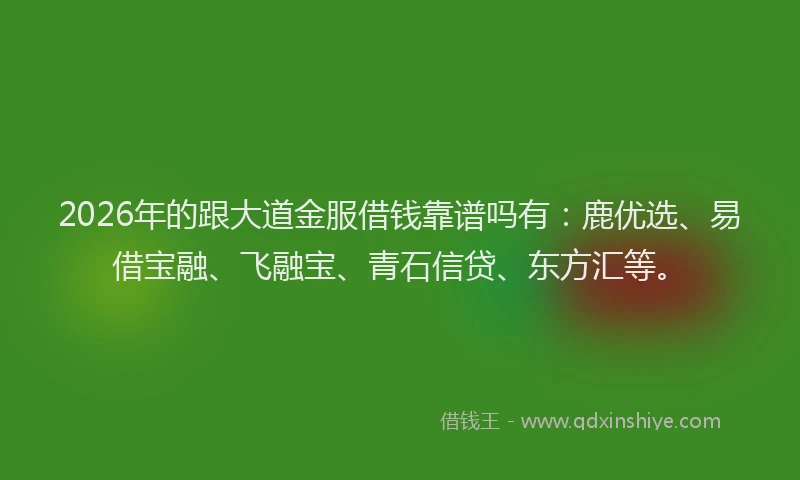 2026年的跟大道金服借钱靠谱吗有:鹿优选、易借宝融、飞融宝、青石信贷、东方汇等。