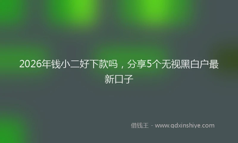 2026年钱小二好下款吗，分享5个无视黑白户最新口子