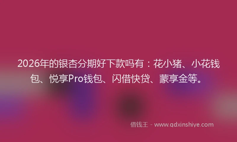 2026年的银杏分期好下款吗有：花小猪、小花钱包、悦享Pro钱包、闪借快贷、蒙享金等。