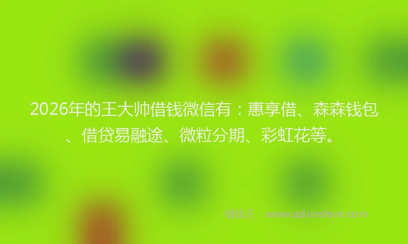 2026年的王大帅借钱微信有:惠享借、森森钱包、借贷易融途、微粒分期、彩虹花等。