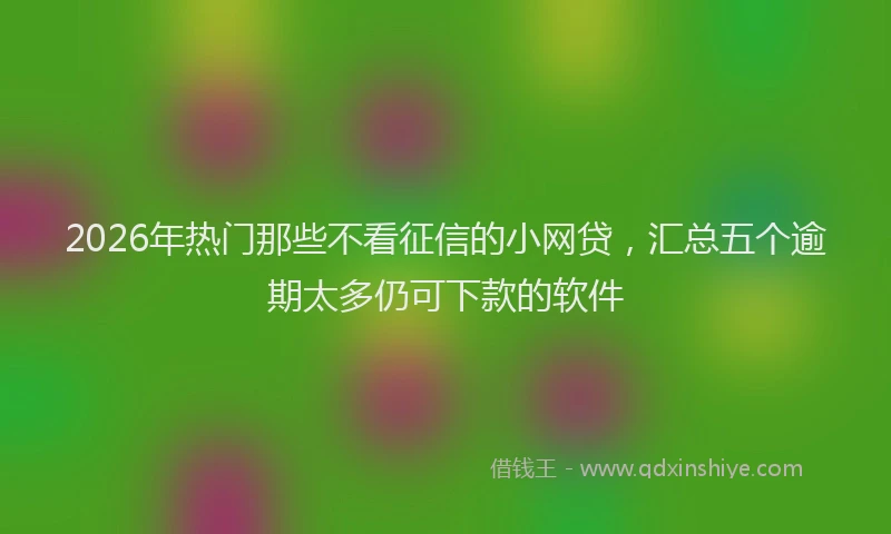 2026年热门那些不看征信的小网贷，汇总五个逾期太多仍可下款的软件