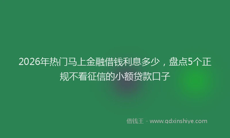 2026年热门马上金融借钱利息多少，盘点5个正规不看征信的小额贷款口子