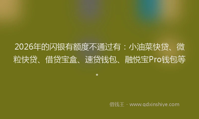 2026年的闪银有额度不通过有：小油菜快贷、微粒快贷、借贷宝盒、速贷钱包、融悦宝Pro钱包等。