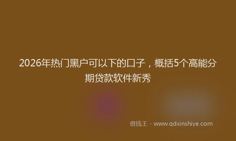 2026年热门黑户可以下的口子，概括5个高能分期贷款软件新秀