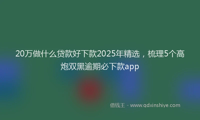 20万做什么贷款好下款2025年精选，梳理5个高炮双黑逾期必下款app