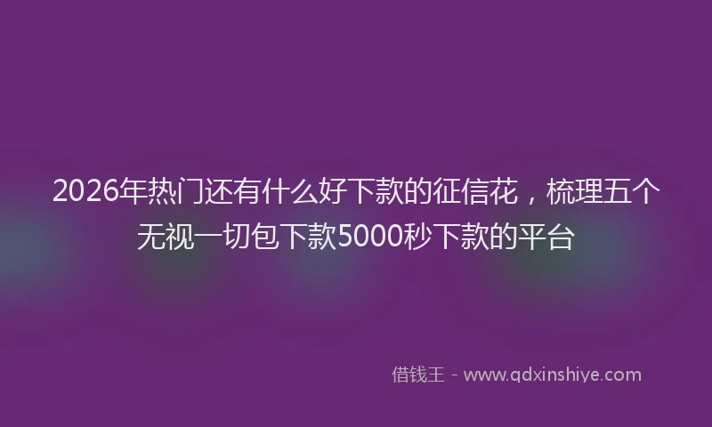 2026年热门还有什么好下款的征信花，梳理五个无视一切包下款5000秒下款的平台