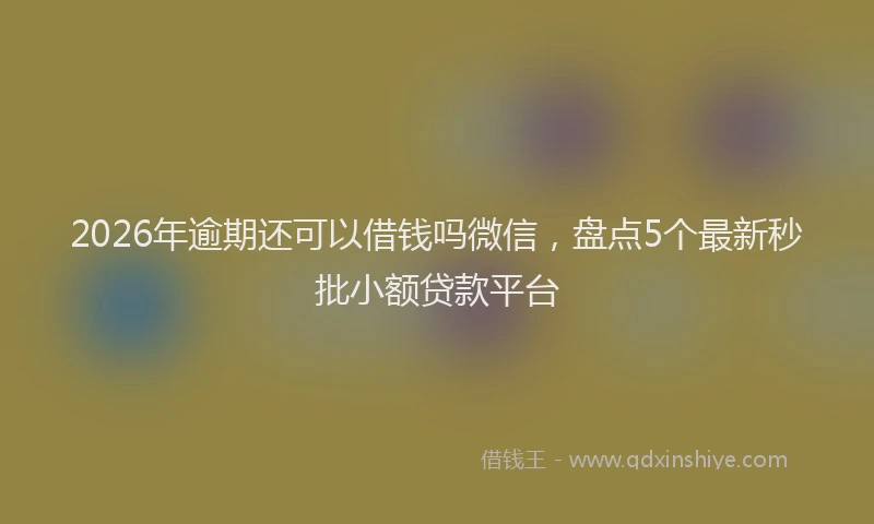 2026年逾期还可以借钱吗微信，盘点5个最新秒批小额贷款平台