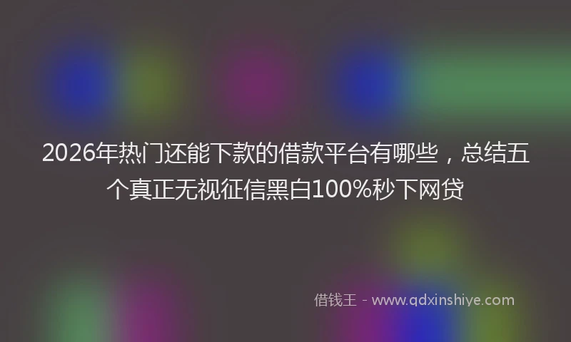 2026年热门还能下款的借款平台有哪些，总结五个真正无视征信黑白100%秒下网贷
