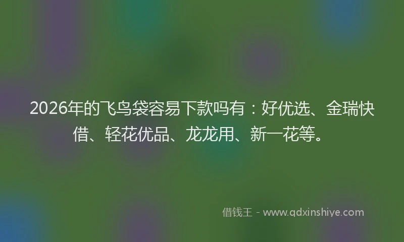 2026年的飞鸟袋容易下款吗有：好优选、金瑞快借、轻花优品、龙龙用、新一花等。