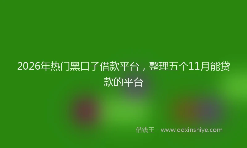 2026年热门黑口子借款平台，整理五个11月能贷款的平台