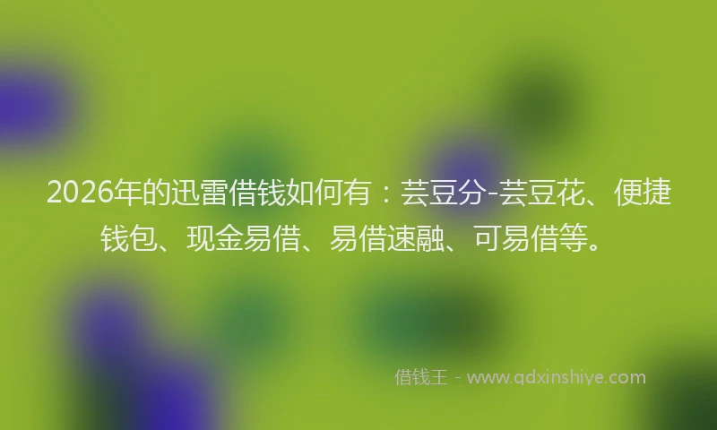 2026年的迅雷借钱如何有：芸豆分-芸豆花、便捷钱包、现金易借、易借速融、可易借等。