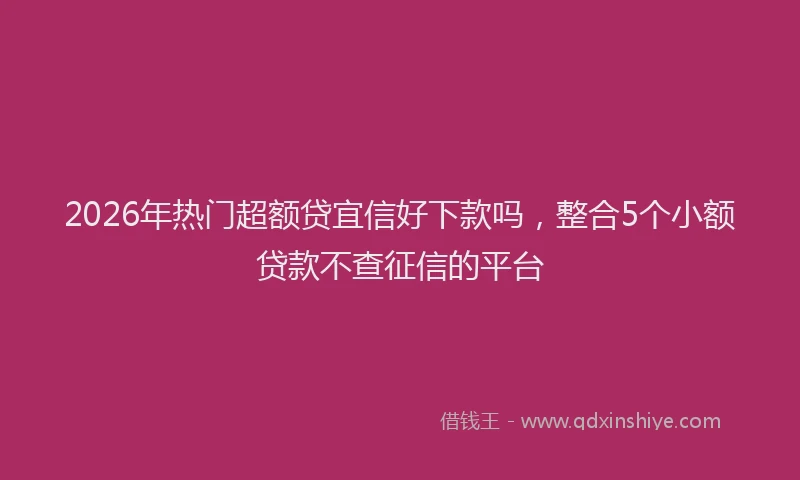 2026年热门超额贷宜信好下款吗，整合5个小额贷款不查征信的平台
