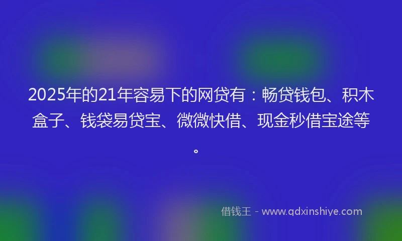 2025年的21年容易下的网贷有：畅贷钱包、积木盒子、钱袋易贷宝、微微快借、现金秒借宝途等。
