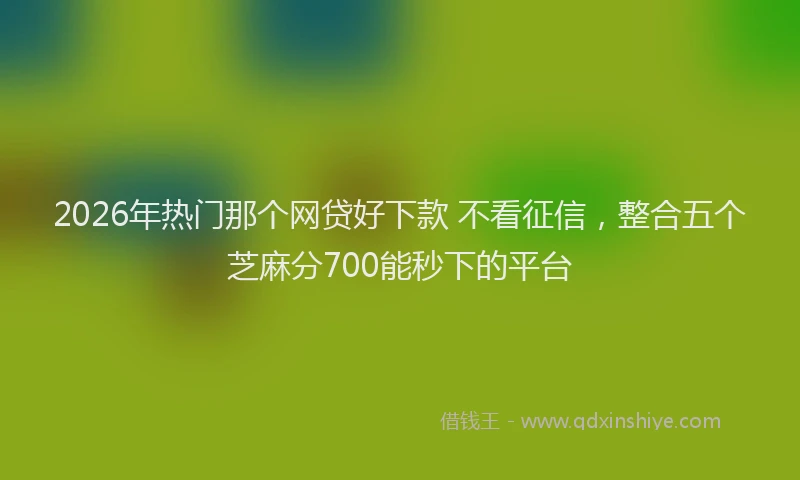 2026年热门那个网贷好下款 不看征信，整合五个芝麻分700能秒下的平台
