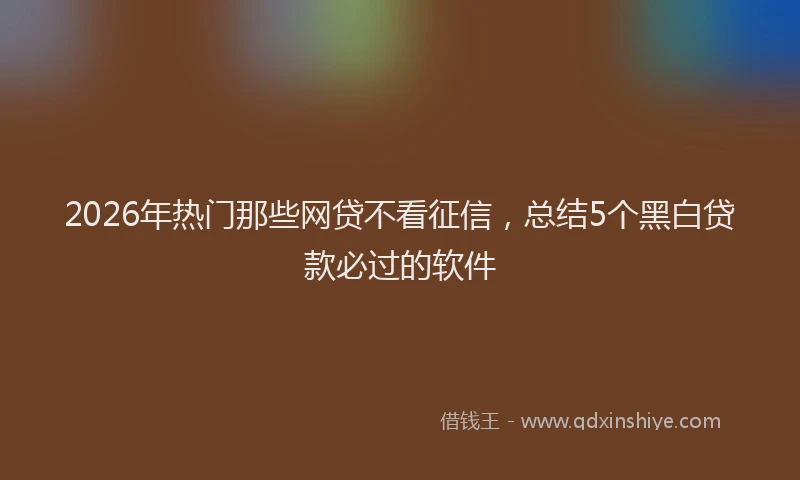 2026年热门那些网贷不看征信，总结5个黑白贷款必过的软件