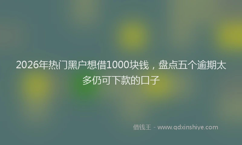 2026年热门黑户想借1000块钱，盘点五个逾期太多仍可下款的口子