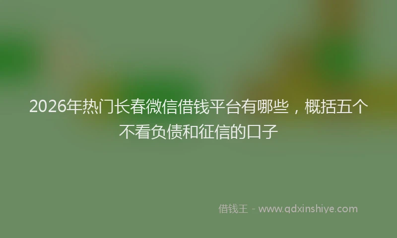 2026年热门长春微信借钱平台有哪些，概括五个不看负债和征信的口子