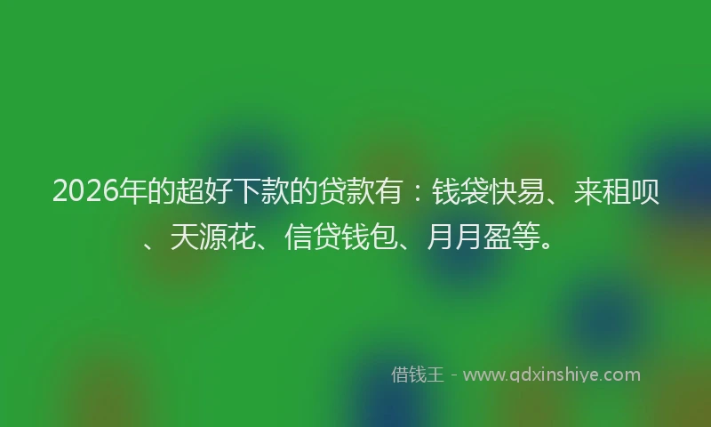 2026年的超好下款的贷款有：钱袋快易、来租呗、天源花、信贷钱包、月月盈等。