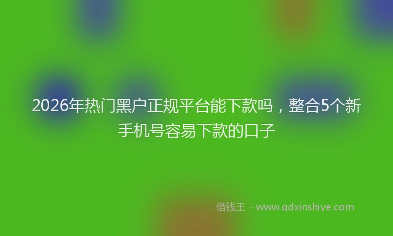 2026年热门黑户正规平台能下款吗，整合5个新手机号容易下款的口子