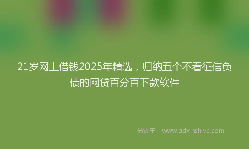 21岁网上借钱2025年精选，归纳五个不看征信负债的网贷百分百下款软件