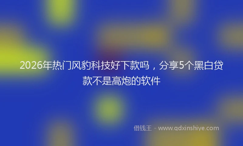 2026年热门风豹科技好下款吗，分享5个黑白贷款不是高炮的软件