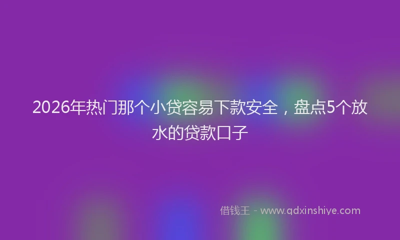 2026年热门那个小贷容易下款安全，盘点5个放水的贷款口子
