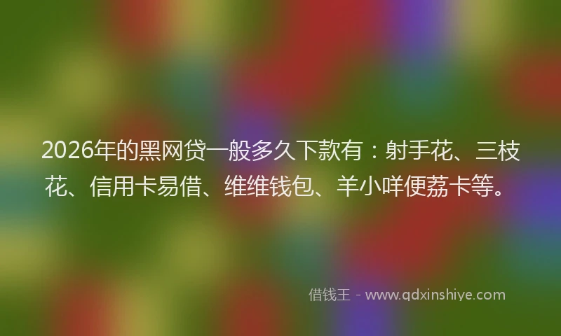 2026年的黑网贷一般多久下款有：射手花、三枝花、信用卡易借、维维钱包、羊小咩便荔卡等。