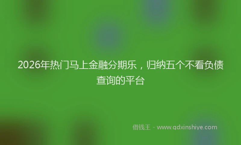 2026年热门马上金融分期乐，归纳五个不看负债查询的平台