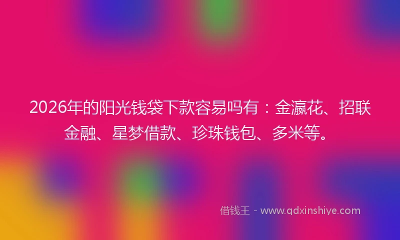 2026年的阳光钱袋下款容易吗有：金瀛花、招联金融、星梦借款、珍珠钱包、多米等。