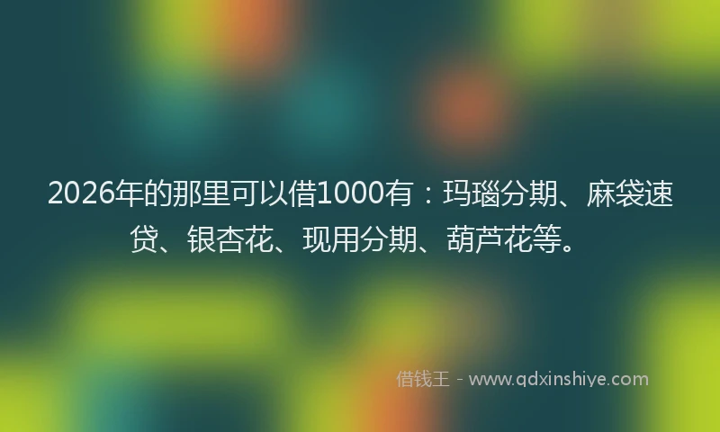 2026年的那里可以借1000有：玛瑙分期、麻袋速贷、银杏花、现用分期、葫芦花等。