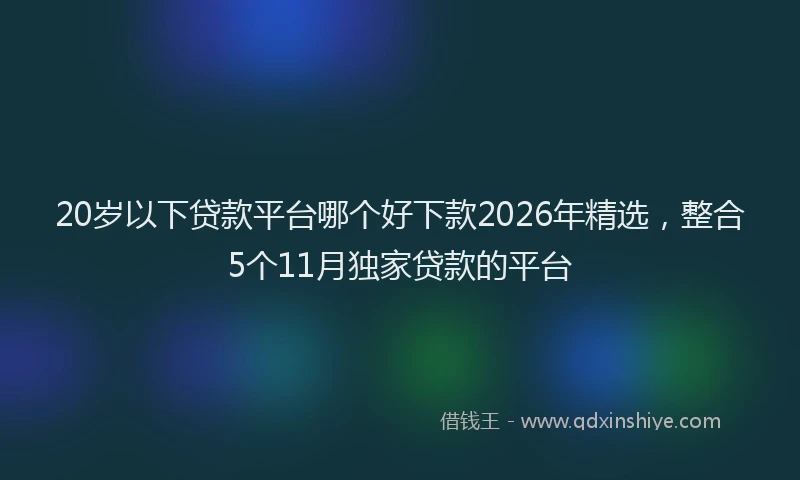 20岁以下贷款平台哪个好下款2026年精选,整合5个11月独家贷款的平台