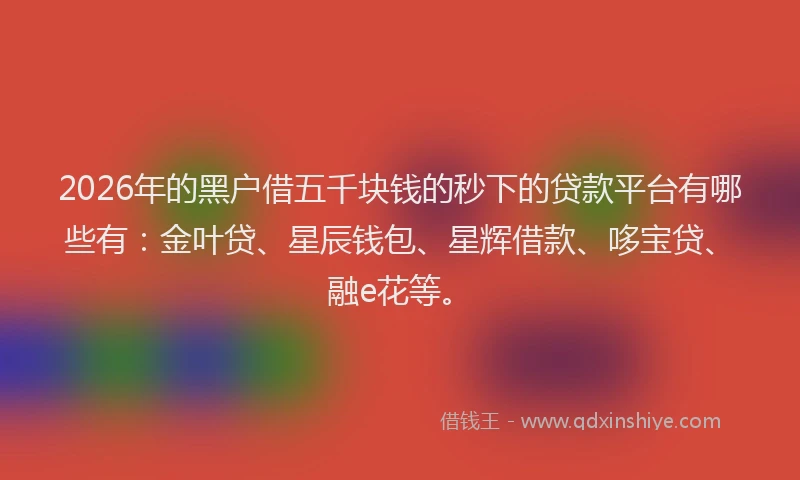 2026年的黑户借五千块钱的秒下的贷款平台有哪些有：金叶贷、星辰钱包、星辉借款、哆宝贷、融e花等。