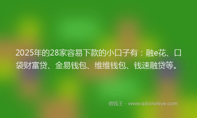 2025年的28家容易下款的小口子有：融e花、口袋财富贷、金易钱包、维维钱包、钱速融贷等。