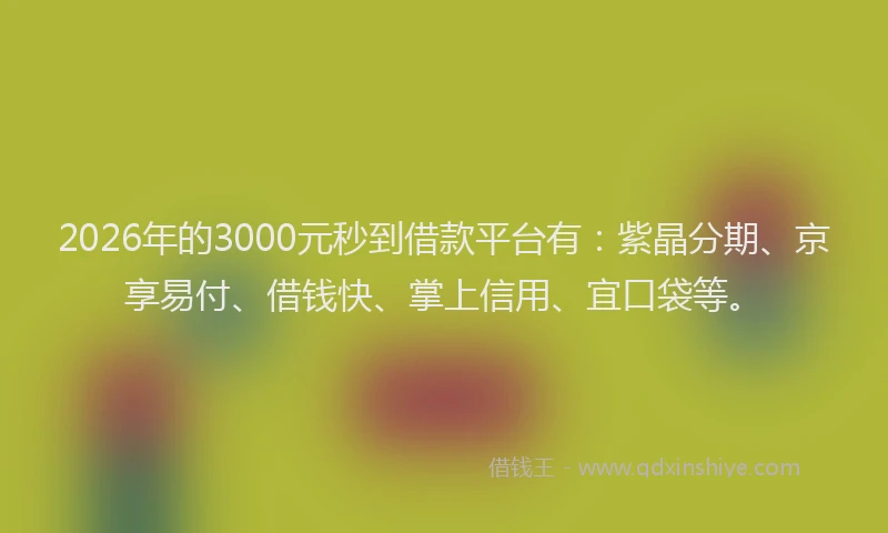 2026年的3000元秒到借款平台有：紫晶分期、京享易付、借钱快、掌上信用、宜口袋等。