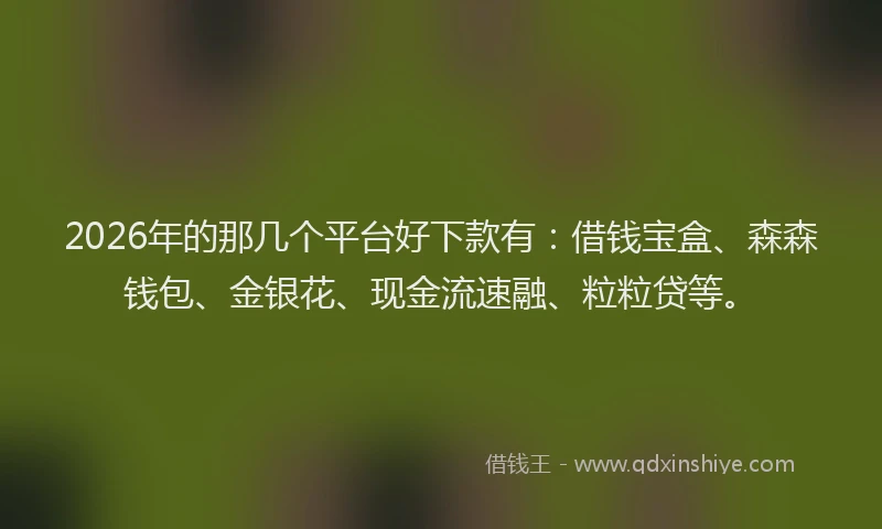 2026年的那几个平台好下款有:借钱宝盒、森森钱包、金银花、现金流速融、粒粒贷等。