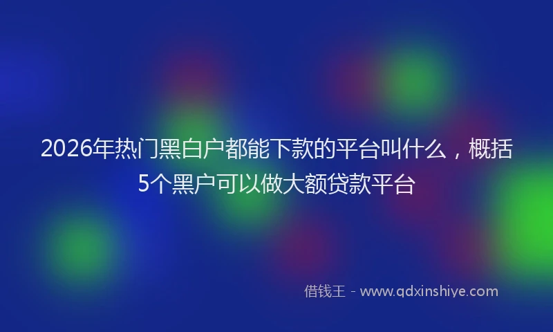 2026年热门黑白户都能下款的平台叫什么，概括5个黑户可以做大额贷款平台