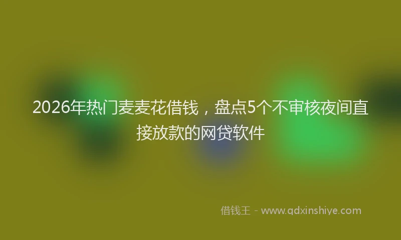 2026年热门麦麦花借钱，盘点5个不审核夜间直接放款的网贷软件