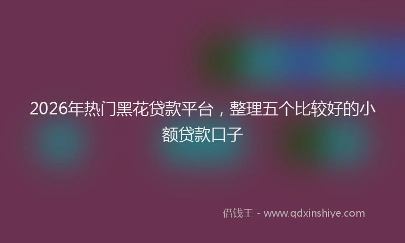 2026年热门黑花贷款平台，整理五个比较好的小额贷款口子
