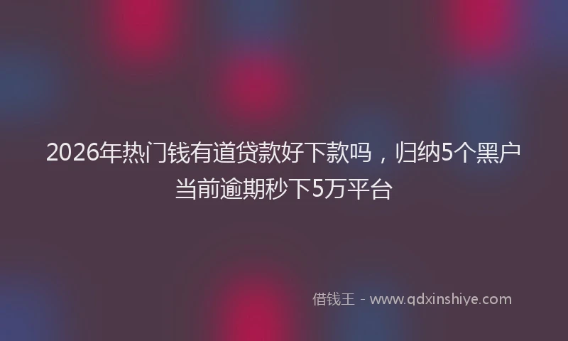 2026年热门钱有道贷款好下款吗，归纳5个黑户当前逾期秒下5万平台