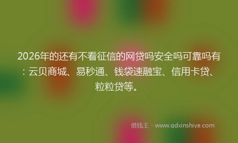 2026年的还有不看征信的网贷吗安全吗可靠吗有：云贝商城、易秒通、钱袋速融宝、信用卡贷、粒粒贷等。