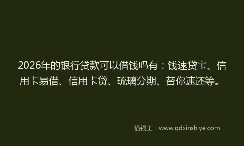 2026年的银行贷款可以借钱吗有：钱速贷宝、信用卡易借、信用卡贷、琉璃分期、替你速还等。