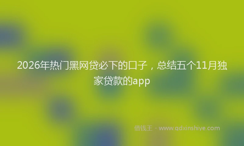 2026年热门黑网贷必下的口子，总结五个11月独家贷款的app