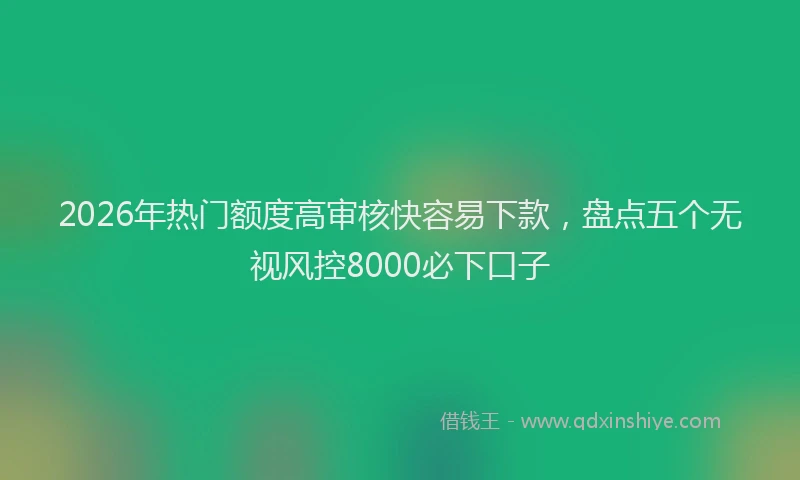 2026年热门额度高审核快容易下款，盘点五个无视风控8000必下口子
