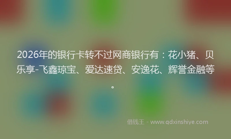 2026年的银行卡转不过网商银行有：花小猪、贝乐享-飞鑫琼宝、爱达速贷、安逸花、辉誉金融等。